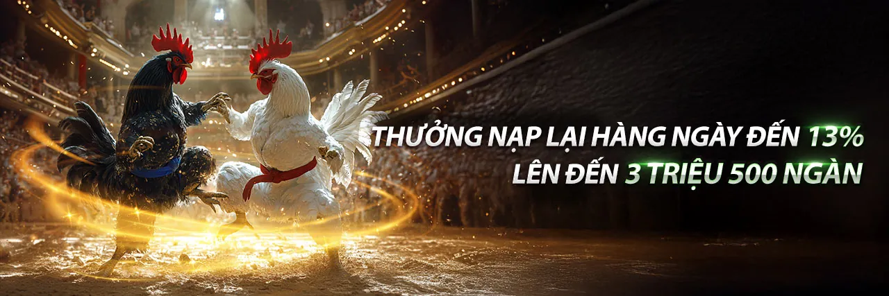 Sân vận động đầy ắp khán giả với ánh đèn rực rỡ, thể hiện sự sôi động của cá cược thể thao 888n win