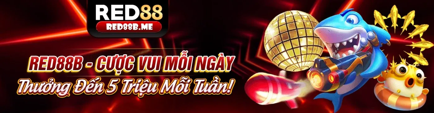 Tin tức mới nhất và cập nhật từ 888n win